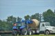 Farmers moving hay with agricultural equipment and trucks. Hay lifts